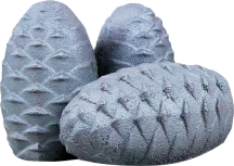 Krāsns akmeņi